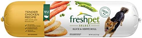 best big lizards for pets