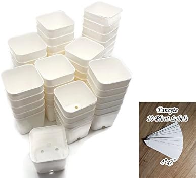 Fancyte Seedling Starter Pots, 50 Pack, Whi 2 Inch Square Tray Inserts by Bootstrap Farmer ,10 Plant Labels Seed Starting No.2