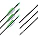 ANTSIR 30 Fiberglass Archery Target Arrows- Practice Arrows for Kids Youth or Begineers on Recurve Bow Long Bow Traditional Bow (Green Vanes Pack of 12)