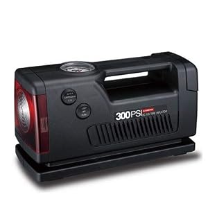 41Fc7LpXFZL. SS300