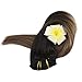 Full Shine 10 Pcs Balayage Clip In Hair Extensions Remy Human Hair Clip On Hair Double Wefted Brazilian Remy Hair Extensions 12-24 Inch Hair Clip Ins