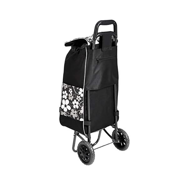 two wheeled shopping trolleys