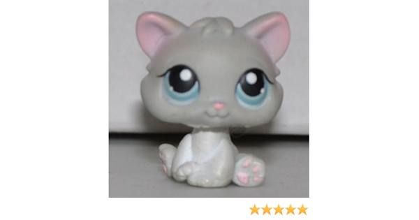 lps grey kitten