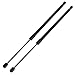 Maxpow Qty (2) Hood Gas Charged Lift Support Struts SG201022