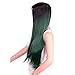 AISI HAIR Ombre Synathetic Wigs for Black Women Long Green Wig Heat Resistant Wigs Middle Part Cosplay Wig Green Party Wigs for Women