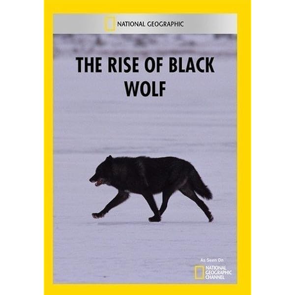 Amazon.com: Living with Wolves/Wolves at Our Door : Jamie