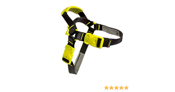 fusion dog harness