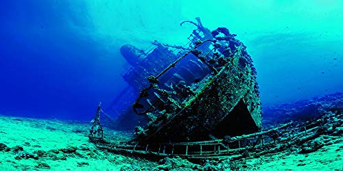VIP.LINE Large Shipwreck Aquarium Background Poster HD Fish Tank Ornament Landscape (48″ x 30″/ 122 x 76cm)