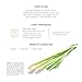 artnaturals 100% Pure Lemongrass Essential Oil - (.5 Fl Oz / 15ml) - Undiluted Therapeutic Grade - Soothe Cleanse and Purify