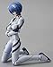 001 Fraulein Revoltech Rei Ayanami by Kaiyodo