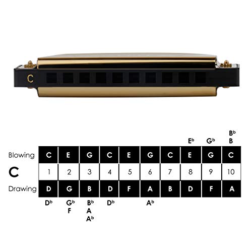 image for Harmonica,Randon Harmonica Key of C Blues,10 Holes 20 Tones Holder,wit
