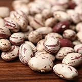 Borlotti Beans (Cranberry Beans) - 10 LB