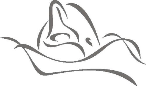 INDIGOS 4051095772187 Childrens Wall Stickers – D243 Beautiful Dolphin Tribal Sticker, Glasdekor, 96 x 56 x 1 cm — image 1