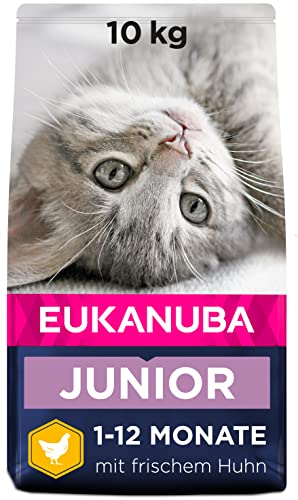 Spannender Preis: Eukanuba Junior Katzenfutter... für 38,00€ Jetzt checken!