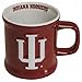 NCAA Indiana Hoosiers Mug Ceramic Relief