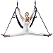 EuroSports High Load Capacity Aerial Yoga Swing/Inversion/Hammock/Sling For Flying Antigravity With a Carrying Bag