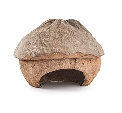 andwe Coconut Hut Small Animal Cage Habitat Decor for Hamster Mice Gerbils - Pocket Pet Coco Original House