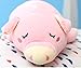 PASSIONFRUIT Stuffed Plush Pig/Piggy Pet -Toy Pink 17.6