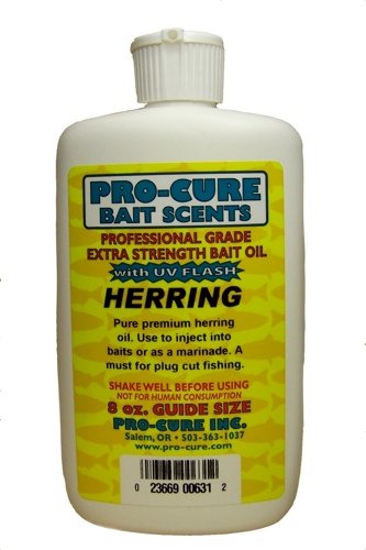 Pro-Cure Herring Bait Oil, 8 Ounce (Best Bait For Herring)