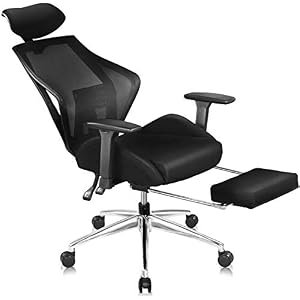DEVAISE Ergonomics Recliner Office Chair, High Back Mesh Computer Desk Chair with 3D Armrest Adjustable Headrest Lumbar…