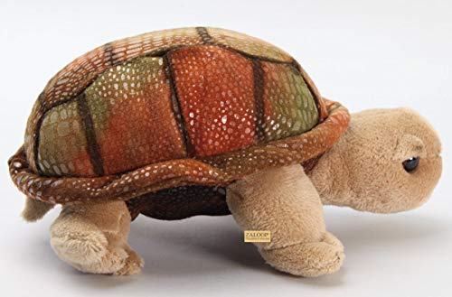 Zaloop Schildkröte ca. 30 cm Kuscheltier Plüschtier Stofftier Landschildkröte 194 – Bild 4