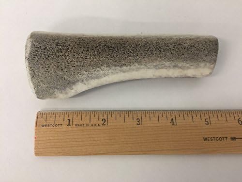 Doggie Dealz Elk Antler Dog Chew - All Natural &amp; Organic Premium Grade A Treat from Wild Elk - Made in the USA (Single Split, Small 3"-5")