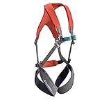 Black Diamond Momentum Harness-Kids' Fl Body