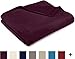Pinzon Velvet Plush Blanket - Full/Queen, Aubergine
