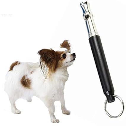 Amazon.com: Ultrasonic Sound - Portable Black Pet Dog Puppy ...