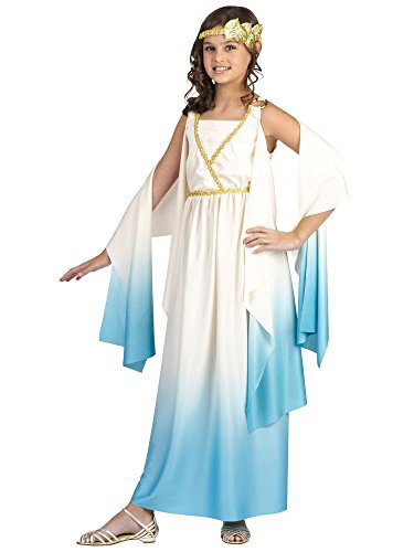 Fun World Greek Goddess Costume