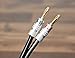 Silverback Speaker Wire by Sewell with Silverback Banana plugs, 15 ft.