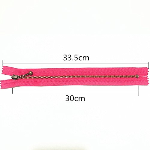 WKXFJJWZC 20pcs 12 Inch (30 cm) Brass Close-endï¼Œ Zipper On Mix Nylon Coil Zippers (12inch)