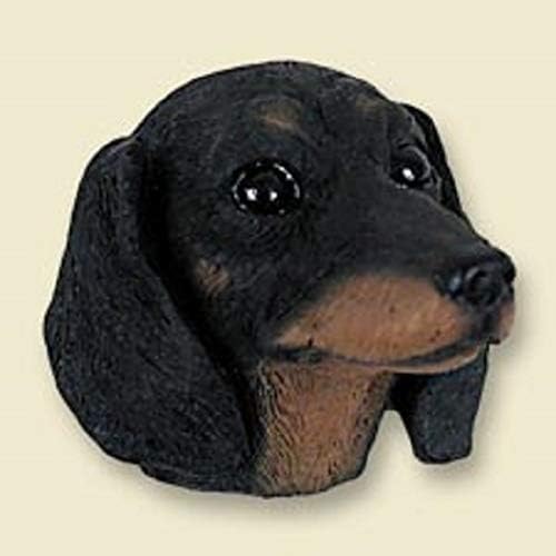 dachshund muzzle