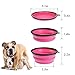 Popetz Collapsible Pet Bowl, Portable Dog Travel Bowls for Small and Medium Dogs and Cats,13 oz (Small, Pink)