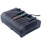 Lasica WA3875 20V Li-ion Dual Port 2 Hour Charger for Worx 18/20 Volt Lithium Batteries WA3525 WA3578 WA3520 WA3575 WA3512 WA3512.1 WA3522 WA3544 WA3742 Replacement Worx 20V Charger