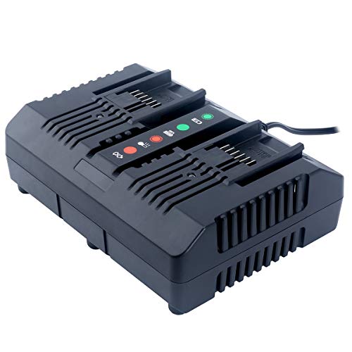 Lasica WA3875 20V Li-ion Dual Port 2 Hour Charger for Worx 18/20 Volt Lithium Batteries WA3525 WA3578 WA3520 WA3575 WA3512 WA3512.1 WA3522 WA3544 WA3742 Replacement Worx 20V Charger