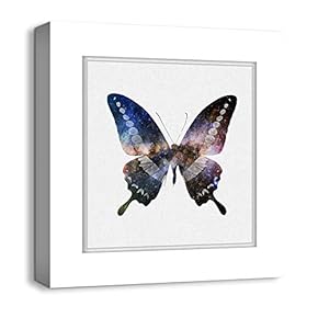 Canvas Wall Art Colorful Butterflies Photo Frame Style Painting Artwork for Home Prints Framed - 12x12 inches