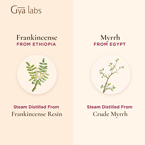 Gya Labs Frankincense & Myrrh Essential Oil (10ml x 2) Warm, Woodsy Scent Pricepulse