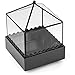Ball Top Square Terrarium