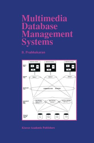 image for Multimedia Database Management Systems (The Springer International Ser