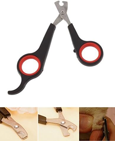 Household scissors 12Cm Pet Nail Scissor Cutter Dog Cat Rabbit Toenail Claw Toe Clipper Grooming Tool Trimmer Paw Animal Gerbid Bird Parrot Shear