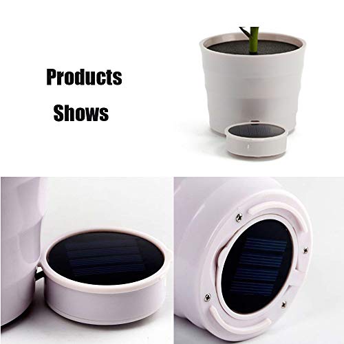 Highpot Outdoor Solar Garden Stake Lights Flower Lights Solar Powered Lights Waterproof Landscape Pathway Lights for Garden, Yard, Lawn, Patio (Red)