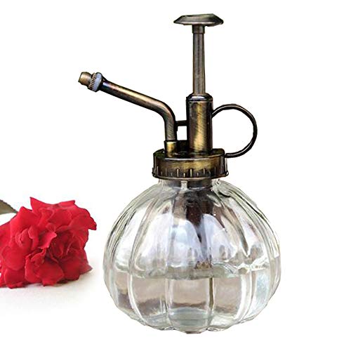 Bemodst 1 Pc Glass Watering Can Pot Vin Buy Online In Albania At Desertcart