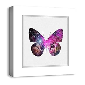 Canvas Wall Art Colorful Butterflies Photo Frame Style Painting Artwork for Home Prints Framed - 12x12 inches