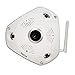 HOSAFE WIFI Wireless Security Surveillance Fisheye Panaromic VR Camera Night Vsion Motion Detection Built-in 32G Memory