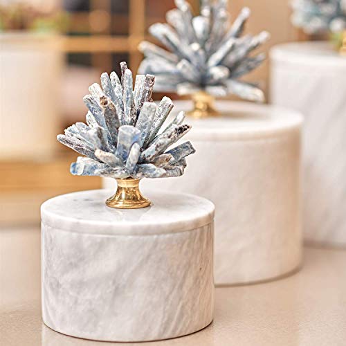 MOTINI Marble Organizer with Blue Kyanite Lid, Jewelry Box Vanity Desk Organizer Bathroom Storage Containers Table Decor, 4.7\