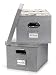 Beautiful File Box Organizer Set of 2 - Collapsible Linen File Cabinet for Easy File Folder Storage - Store All Your Documents and File Folders in Style
