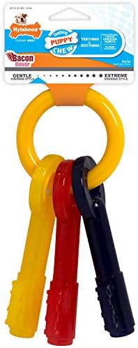 nylabone keys large