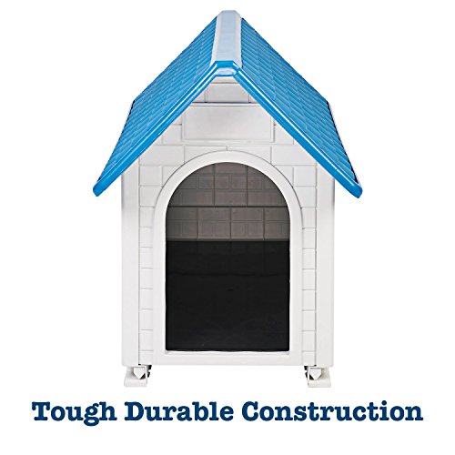 Animals-Favorite-Dog-House