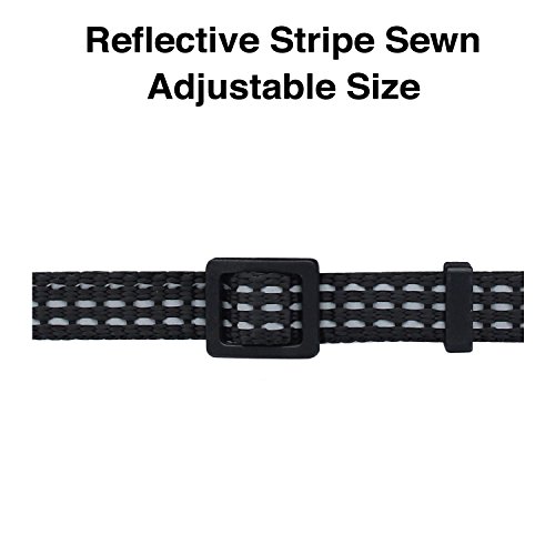 Pawtitas Reflective Cat Collar with Safety Buckle and Removable Bell Cat Collar Kitten Collar Black Cat Collar - Thumbnail 2